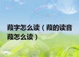 葭字怎么读（葭的读音 葭怎么读）