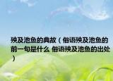 殃及池鱼的典故（俗语殃及池鱼的前一句是什么 俗语殃及池鱼的出处）