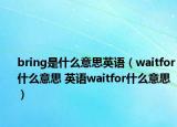 bring是什么意思英语（waitfor什么意思 英语waitfor什么意思）