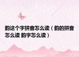 韵这个字拼音怎么读（韵的拼音怎么读 韵字怎么读）