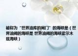 被称为“世界油库的闸门”的海峡是（世界油阀的海峡是 世界油阀的海峡霍尔木兹海峡）