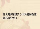 什么是泥石流?（什么是泥石流 泥石流介绍）
