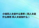 小说同人文是什么意思（同人文是什么意思 同人文是指什么）