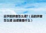 远字的拼音怎么读?（远的拼音怎么读 远读音是什么）
