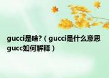 gucci是啥?（gucci是什么意思 gucc如何解释）
