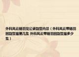 外科风云杨羽见公婆别墅内景（外科风云带杨羽回别墅是第几集 外科风云带杨羽回别墅是多少集）