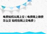 电费如何从网上交（电费网上缴费怎么交 如何在网上交电费）