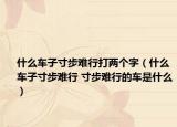 什么车子寸步难行打两个字（什么车子寸步难行 寸步难行的车是什么）
