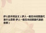 伊人的不同含义（伊人一般在诗词里面代表什么意思 伊人一般在诗词里面代表的意思）