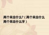 两个呆念什么?（两个呆念什么 两个呆念什么字）