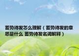 蓄势待发怎么理解（蓄势待发的意思是什么 蓄势待发名词解释）