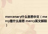 mercenary什么意思中文（mercy是什么意思 mercy英文解释）