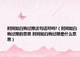 时间如白驹过隙这句话对吗?（时间如白驹过隙的意思 时间如白驹过隙是什么意思）