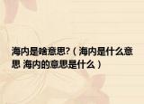 海内是啥意思?（海内是什么意思 海内的意思是什么）