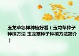 玉龙草怎样种植好看（玉龙草种子种植方法 玉龙草种子种植方法简介）