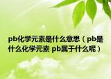 pb化学元素是什么意思（pb是什么化学元素 pb属于什么呢）