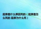 屈原是什么原因死的（屈原是怎么死的 屈原为什么死）