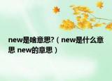 new是啥意思?（new是什么意思 new的意思）