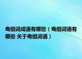 鸯组词成语有哪些（鸯组词语有哪些 关于鸯组词语）