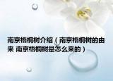南京梧桐树介绍（南京梧桐树的由来 南京梧桐树是怎么来的）
