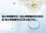 猫头鹰眼睛特征（猫头鹰眼睛的特点和功能 猫头鹰眼睛特点以及功能介绍）