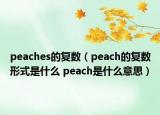 peaches的复数（peach的复数形式是什么 peach是什么意思）