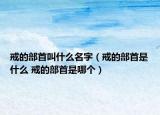 戒的部首叫什么名字（戒的部首是什么 戒的部首是哪个）