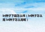 bt种子下载怎么样（bt种子怎么用 bt种子怎么用呢）