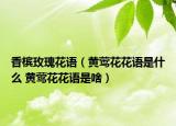 香槟玫瑰花语（黄莺花花语是什么 黄莺花花语是啥）