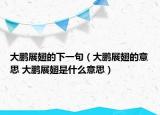 大鹏展翅的下一句（大鹏展翅的意思 大鹏展翅是什么意思）
