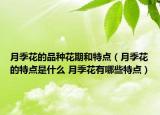 月季花的品种花期和特点（月季花的特点是什么 月季花有哪些特点）