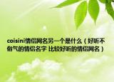 coisini情侣网名另一个是什么（好听不俗气的情侣名字 比较好听的情侣网名）