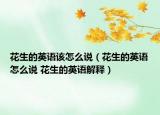花生的英语该怎么说（花生的英语怎么说 花生的英语解释）