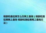 核酸检查结果怎么在网上查询（核酸检测结果网上查询 核酸检测结果网上查询方法）
