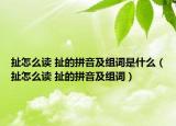 扯怎么读 扯的拼音及组词是什么（扯怎么读 扯的拼音及组词）