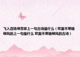 飞入百姓寻常家上一句古诗是什么（吹面不寒杨柳风的上一句是什么 吹面不寒杨柳风的古诗）
