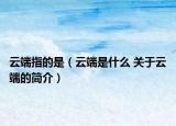云端指的是（云端是什么 关于云端的简介）