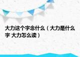 大力这个字念什么（大力是什么字 大力怎么读）
