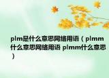 plm是什么意思网络用语（plmm什么意思网络用语 plmm什么意思）