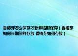 香椿芽怎么保存才新鲜临时保存（香椿芽如何长期保鲜存放 香椿芽如何存放）
