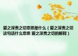 爱之深责之切意思是什么（爱之深责之切这句话什么意思 爱之深责之切的解释）