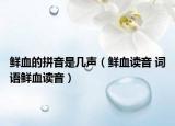 鲜血的拼音是几声（鲜血读音 词语鲜血读音）