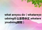 what areyou do（whatareyoudoing什么意思中文 whatareyoudoing解释）