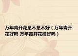 万年青开花是不是不好（万年青开花好吗 万年青开花很好吗）