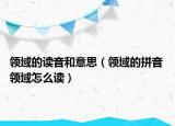 领域的读音和意思（领域的拼音 领域怎么读）