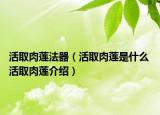 活取肉莲法器（活取肉莲是什么 活取肉莲介绍）