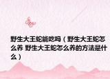 野生大王蛇能吃吗（野生大王蛇怎么养 野生大王蛇怎么养的方法是什么）