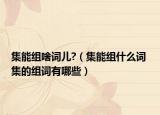 集能组啥词儿?（集能组什么词 集的组词有哪些）