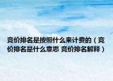 竞价排名是按照什么来计费的（竞价排名是什么意思 竞价排名解释）