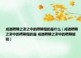 成语糟糠之妻之中的糟糠指的是什么（成语糟糠之妻中的糟糠指的是 成语糟糠之妻中的糟糠解释）